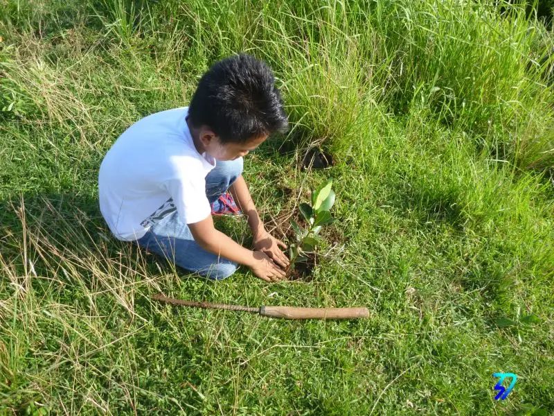 School boy planting tree at Uyugan